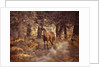 Wild Horse, New Forest by Assaf Frank